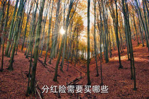 分紅保險(xiǎn)