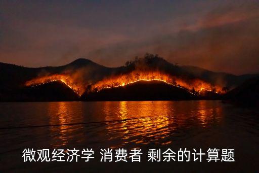 消費(fèi)者剩余