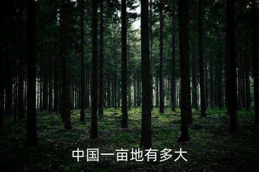 1畝地有多大,一畝等于多少坰地