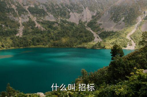 招標(biāo)什么意思,非依法招標(biāo)什么意思