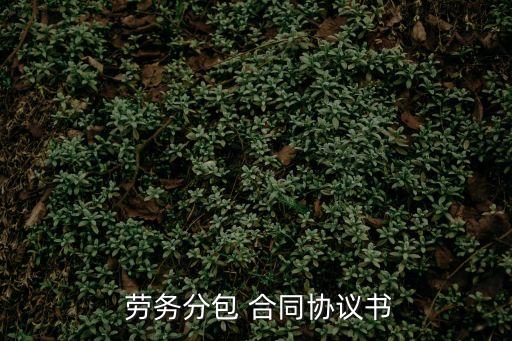  勞務(wù)分包 合同協(xié)議書