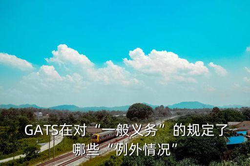  GATS在對“一般義務(wù)”的規(guī)定了哪些“例外情況”