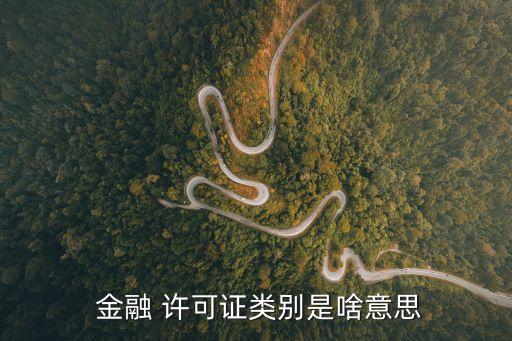 金融許可證