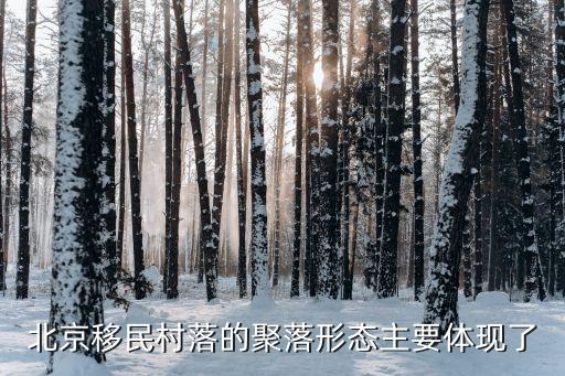 聚居地