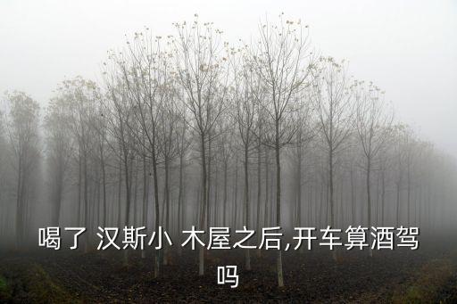 喝了 漢斯小 木屋之后,開車算酒駕嗎