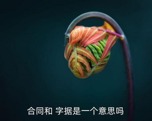 合同和 字據(jù)是一個(gè)意思嗎