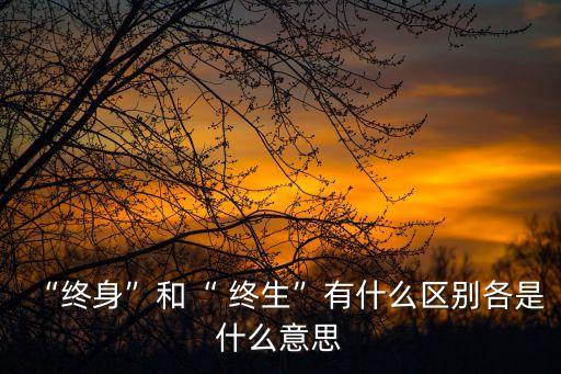終生的意思,遺憾終身和遺憾終生的意思