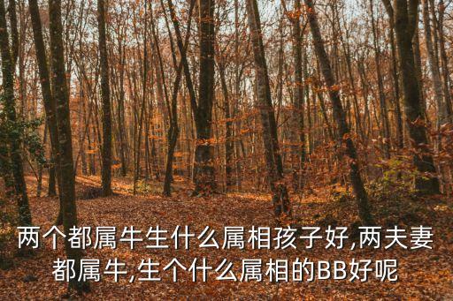 牛bb