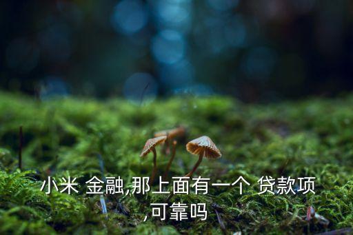  小米 金融,那上面有一個(gè) 貸款項(xiàng),可靠嗎