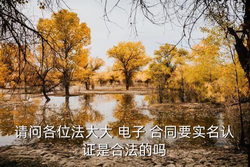 法大大 電子合同