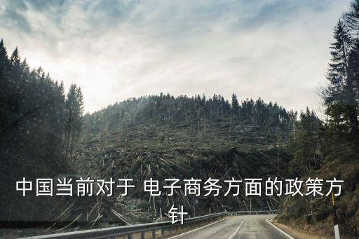 電子商務(wù)政策法規(guī),跨境電子商務(wù)政策法規(guī)