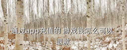 通過(guò)app充值的 游戲錢(qián)怎么可以 退款