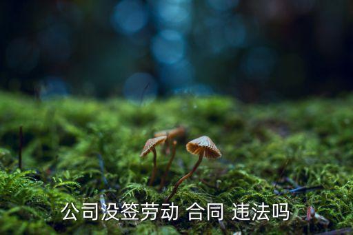 工作不簽合同違法嗎,蜜雪冰城工作不簽合同違法嗎