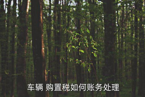 車輛購(gòu)置稅計(jì)入什么科目,汽車購(gòu)置稅計(jì)算公式