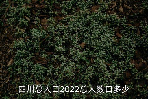 四川總?cè)丝?022總?cè)藬?shù)口多少