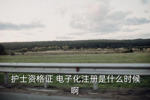  護士資格證 電子化注冊是什么時候啊