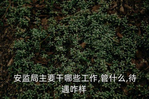  安監(jiān)局主要干哪些工作,管什么,待遇咋樣