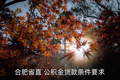 合肥省直 公積金貸款條件要求