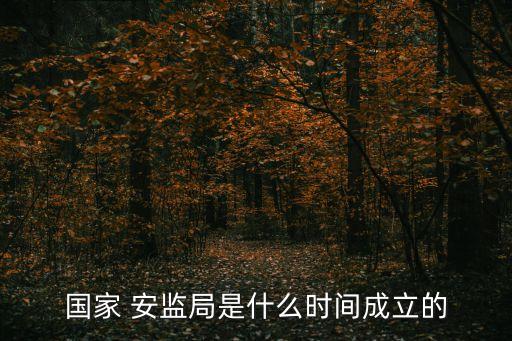 國(guó)家 安監(jiān)局是什么時(shí)間成立的