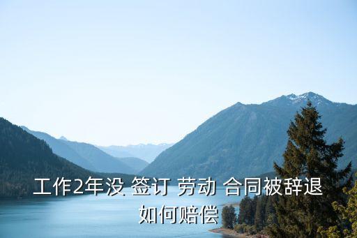 工作2年沒 簽訂 勞動(dòng) 合同被辭退如何賠償