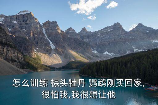棕頭鸚鵡,牡丹棕頭鸚鵡