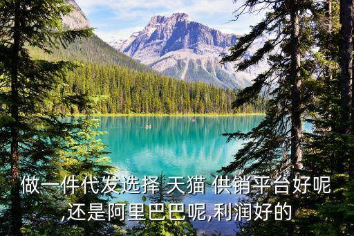 做一件代發(fā)選擇 天貓 供銷平臺好呢,還是阿里巴巴呢,利潤好的
