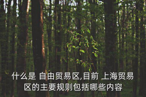 上海自由貿(mào)易區(qū),中國上海自由貿(mào)易區(qū)