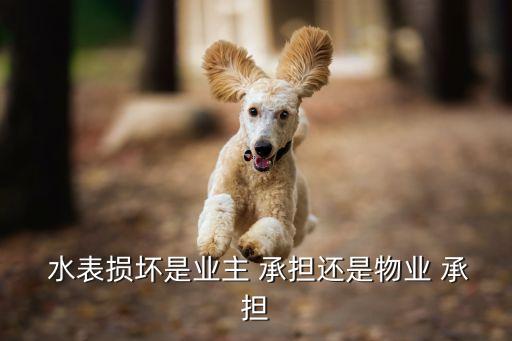 水表壞了更換水表費用誰承擔(dān),家里水表壞了更換水表費用誰承擔(dān)