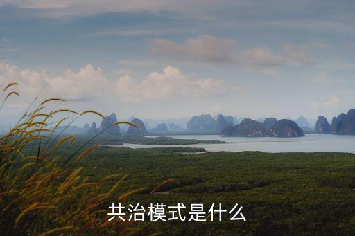 共治模式是什么