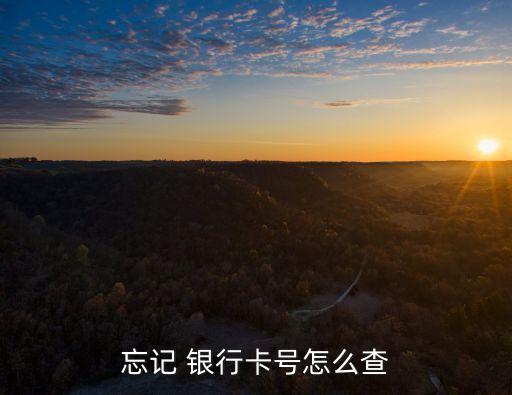銀行卡找不到了怎么辦,工商銀行卡找不到了怎么辦