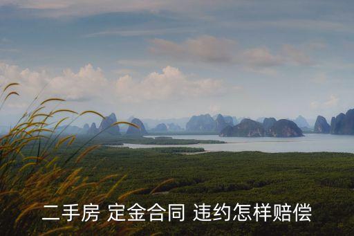 定金協(xié)議違約 一般怎么賠付,定金合同違約賠償標(biāo)準(zhǔn)