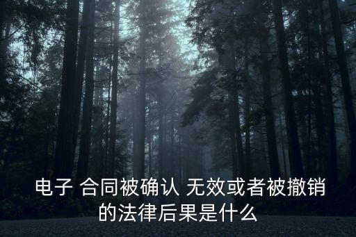  電子 合同被確認(rèn) 無效或者被撤銷的法律后果是什么