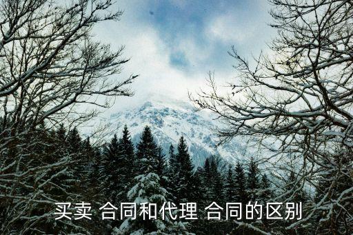 合同買賣法律關(guān)系,買賣合同擔(dān)保人承擔(dān)責(zé)任