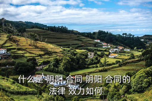 陰陽(yáng)合同哪個(gè)法律效力大,房屋買賣陰陽(yáng)合同的法律效力