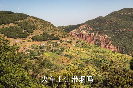  火車上讓帶煙嗎