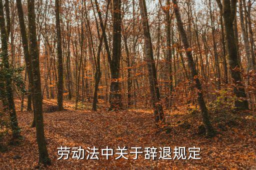 《勞動合同法》第36條規(guī)定,勞動合同法第36條規(guī)定內(nèi)容及解讀