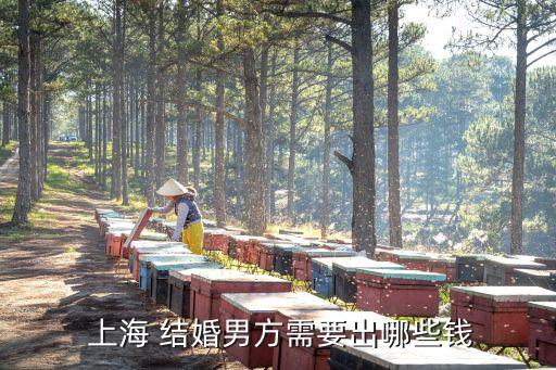 上海結(jié)婚
