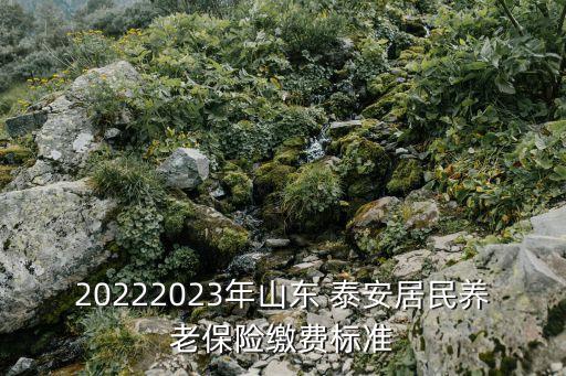 泰安保險(xiǎn)