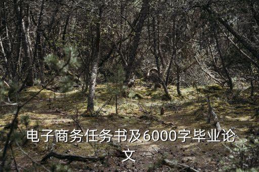  電子商務任務書及6000字畢業(yè)論文