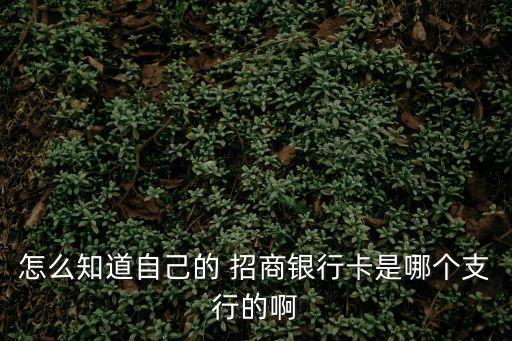 怎么知道自己的 招商銀行卡是哪個(gè)支行的啊