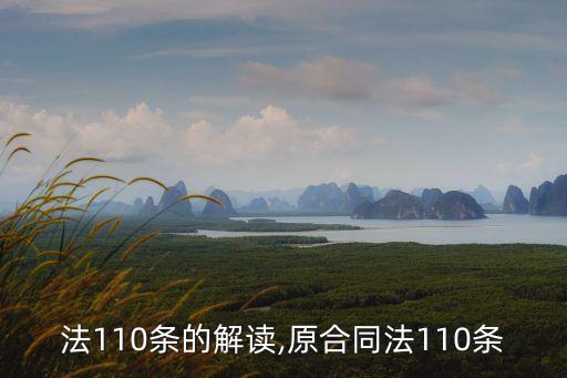 合同法110條的解讀,原合同法110條