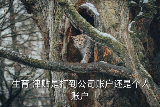  生育 津貼是打到公司賬戶還是個(gè)人賬戶