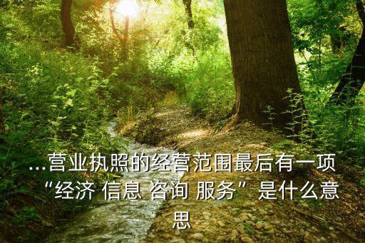 信息咨詢服務