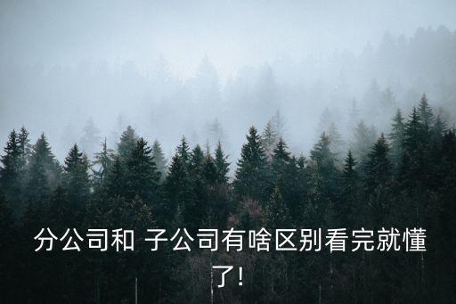 子公司和分公司的區(qū)別,分公司的稅收在哪里繳納