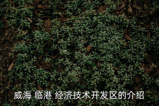 臨港經(jīng)濟(jì),什么是臨港經(jīng)濟(jì)