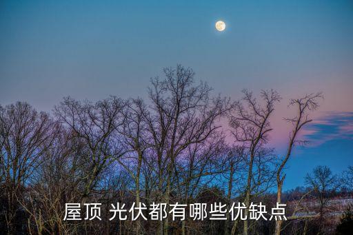 光伏發(fā)電的利與弊,農(nóng)村房頂安裝光伏發(fā)電的利與弊