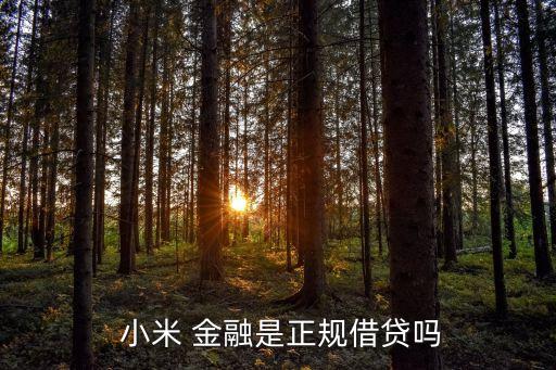 小米金融貸款,如何關閉小米金融貸款