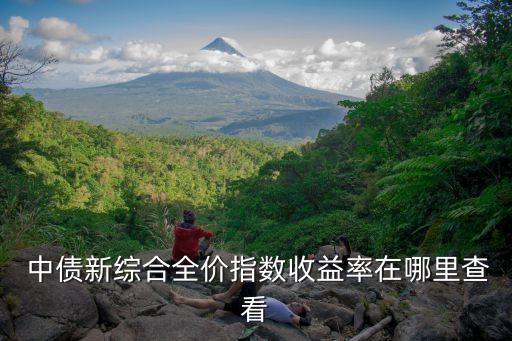  中債新綜合全價指數(shù)收益率在哪里查看