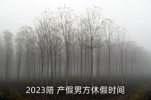 男性陪產(chǎn)假