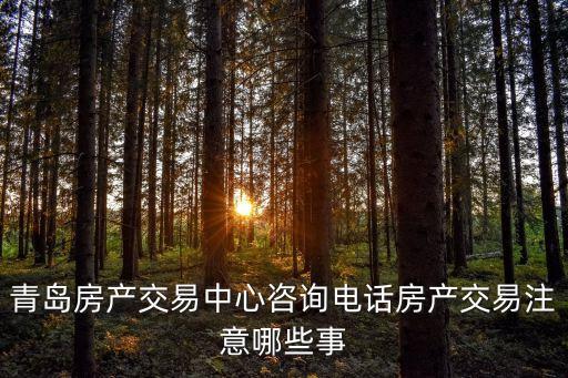 青島房產(chǎn)交易中心咨詢電話房產(chǎn)交易注意哪些事